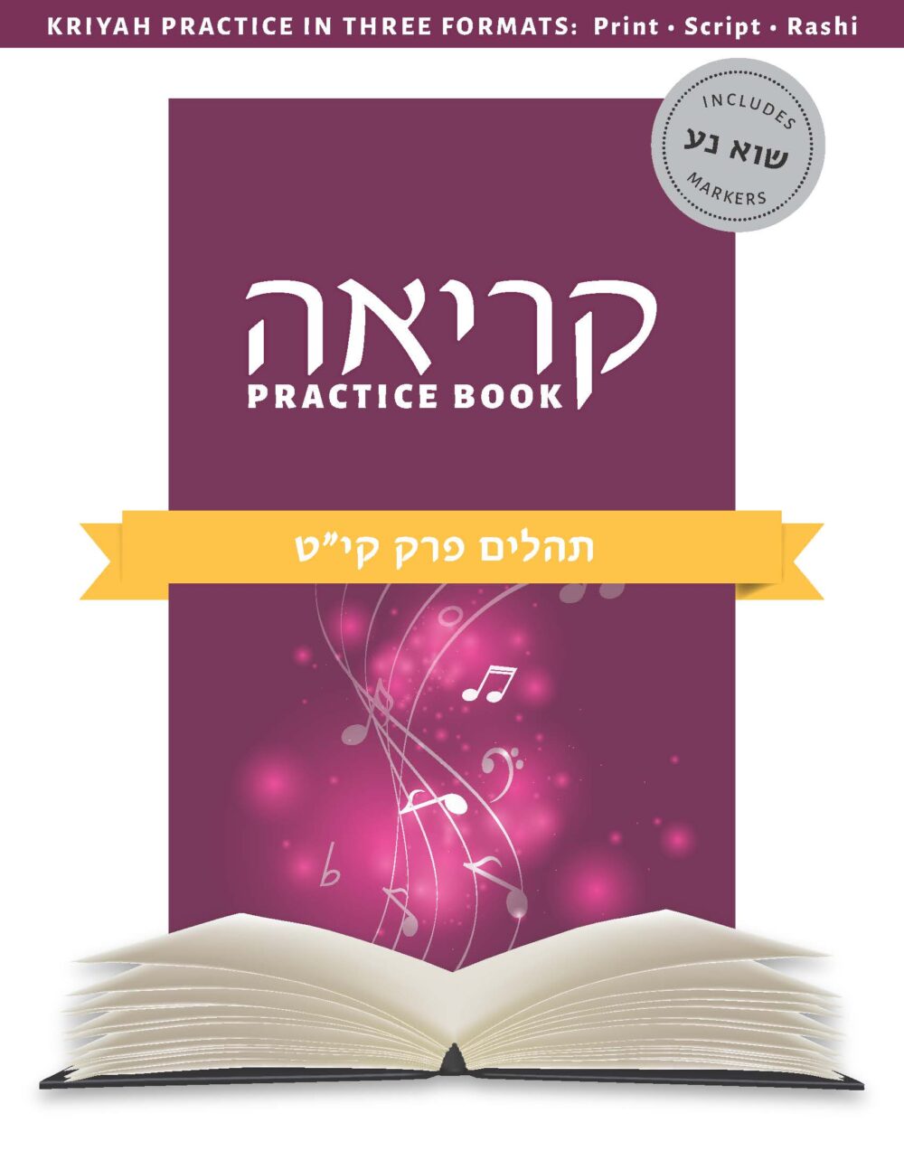 tehillim book updated cover_Page_01