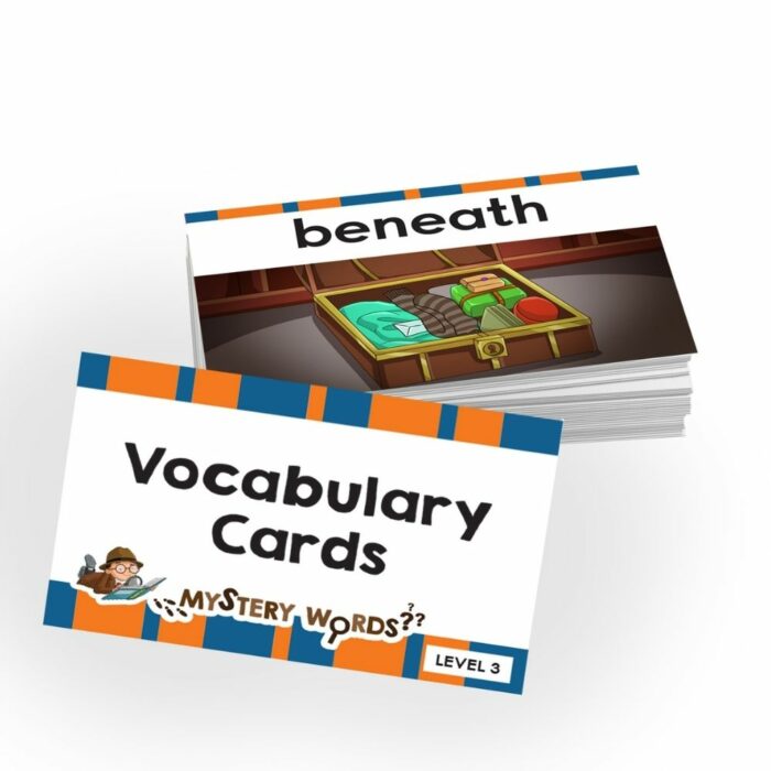 vocab cards - level 3